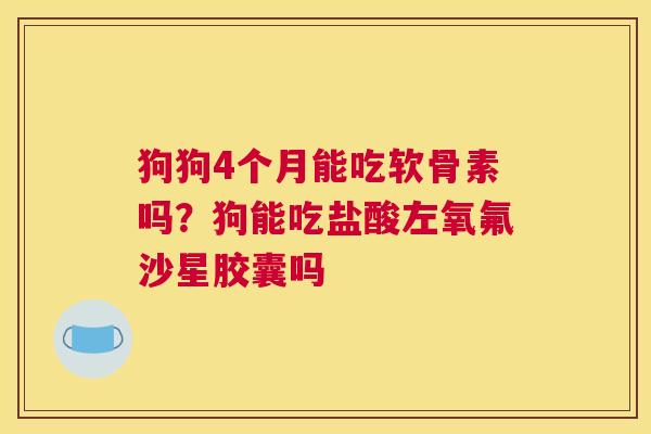 狗狗4个月能吃软骨素吗？狗能吃盐酸左氧氟沙星胶囊吗