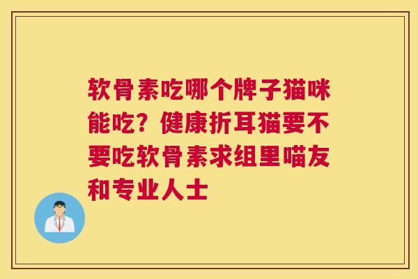 软骨素吃哪个牌子猫咪能吃？健康折耳猫要不要吃软骨素求组里喵友和专业人士