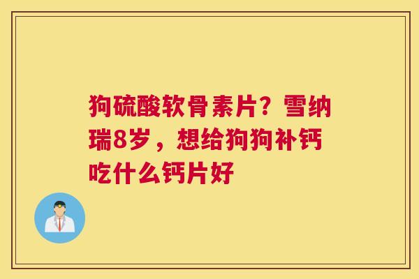 狗硫酸软骨素片？雪纳瑞8岁，想给狗狗补钙吃什么钙片好