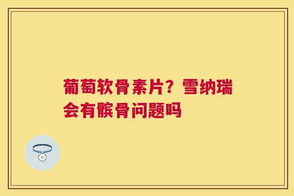 葡萄软骨素片？雪纳瑞会有髌骨问题吗
