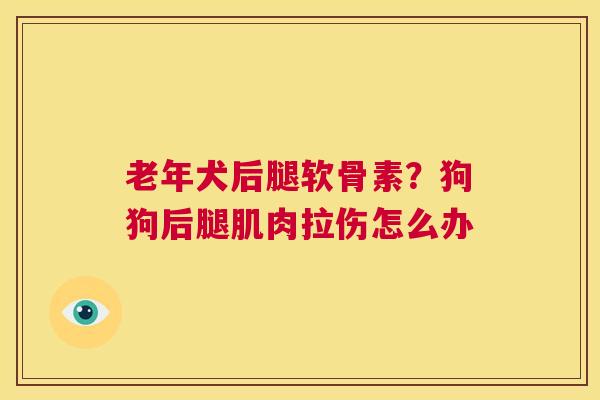 老年犬后腿软骨素？狗狗后腿肌肉拉伤怎么办