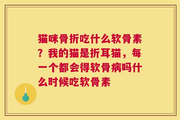 猫咪骨折吃什么软骨素？我的猫是折耳猫，每一个都会得软骨病吗什么时候吃软骨素