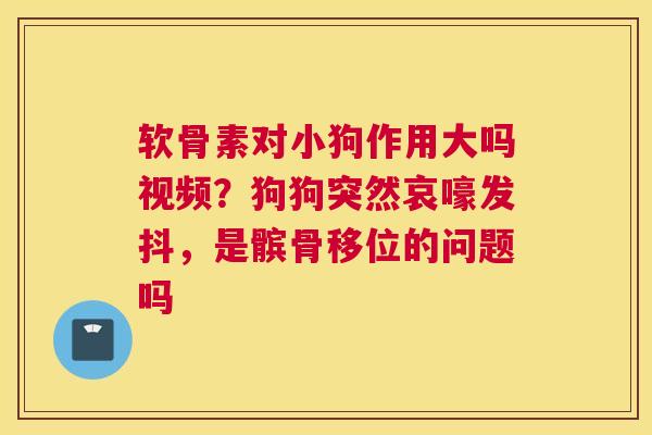 软骨素对小狗作用大吗视频？狗狗突然哀嚎发抖，是髌骨移位的问题吗