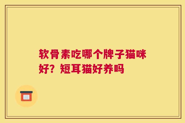 软骨素吃哪个牌子猫咪好？短耳猫好养吗