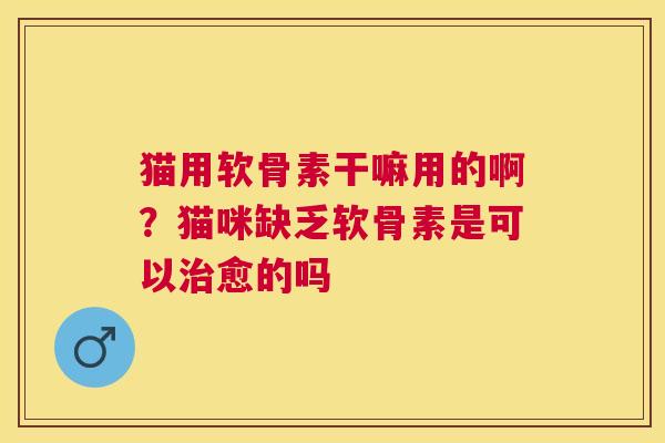猫用软骨素干嘛用的啊？猫咪缺乏软骨素是可以治愈的吗