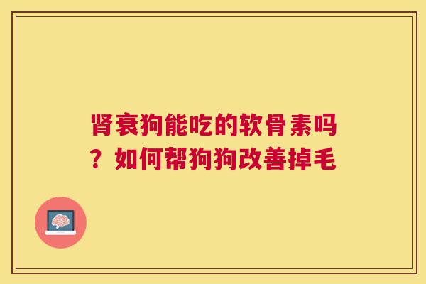 肾衰狗能吃的软骨素吗？如何帮狗狗改善掉毛