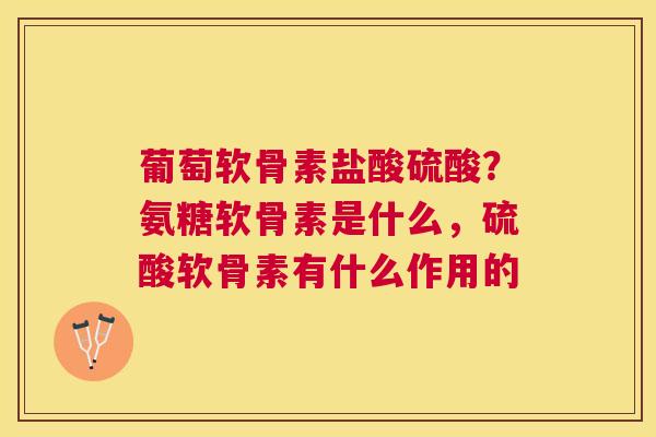 葡萄软骨素盐酸硫酸？氨糖软骨素是什么，硫酸软骨素有什么作用的