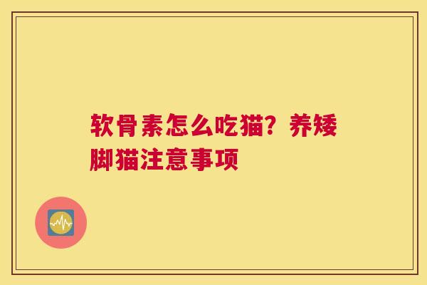 软骨素怎么吃猫？养矮脚猫注意事项