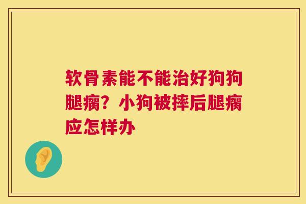 软骨素能不能治好狗狗腿瘸？小狗被摔后腿瘸应怎样办