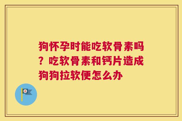 狗怀孕时能吃软骨素吗？吃软骨素和钙片造成狗狗拉软便怎么办