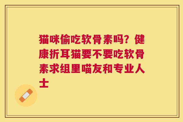 猫咪偷吃软骨素吗？健康折耳猫要不要吃软骨素求组里喵友和专业人士
