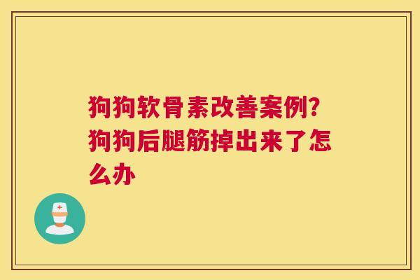狗狗软骨素改善案例？狗狗后腿筋掉出来了怎么办