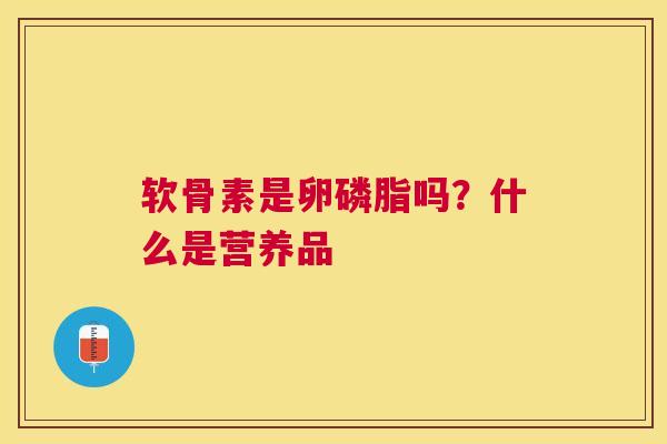 软骨素是卵磷脂吗？什么是营养品