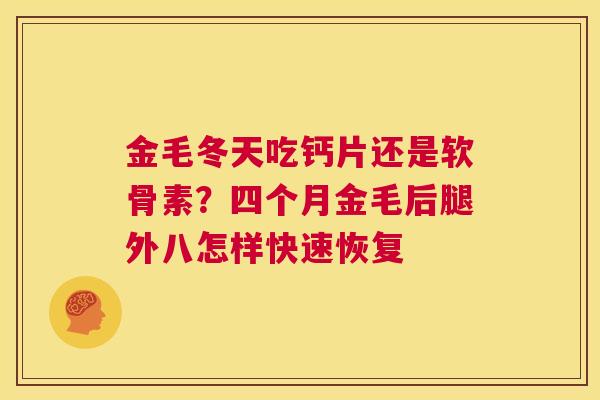 金毛冬天吃钙片还是软骨素？四个月金毛后腿外八怎样快速恢复