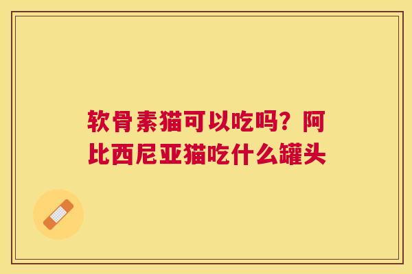 软骨素猫可以吃吗？阿比西尼亚猫吃什么罐头