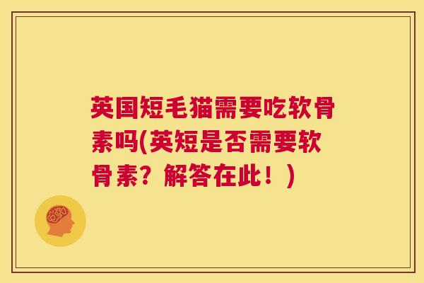 英国短毛猫需要吃软骨素吗(英短是否需要软骨素？解答在此！)