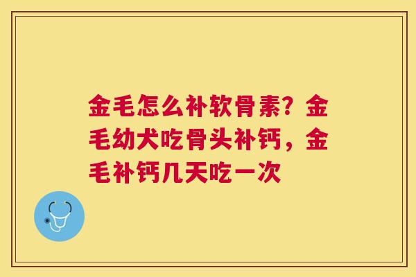 金毛怎么补软骨素？金毛幼犬吃骨头补钙，金毛补钙几天吃一次