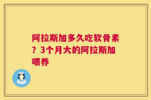 阿拉斯加多久吃软骨素？3个月大的阿拉斯加喂养