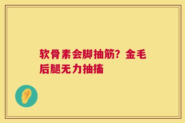 软骨素会脚抽筋？金毛后腿无力抽搐