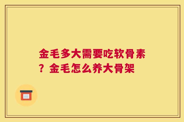 金毛多大需要吃软骨素？金毛怎么养大骨架