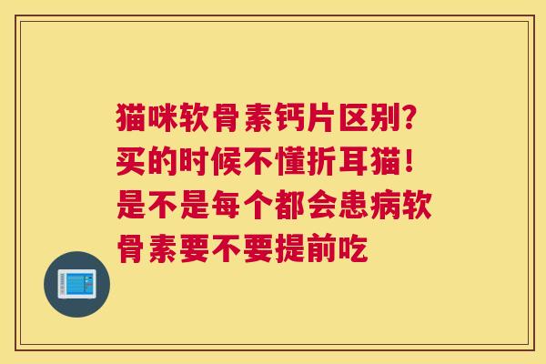 猫咪软骨素钙片区别？买的时候不懂折耳猫！是不是每个都会患病软骨素要不要提前吃