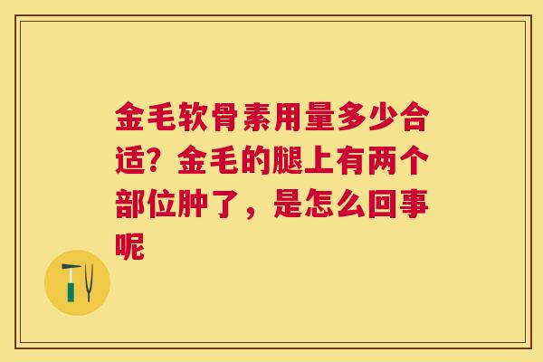 金毛软骨素用量多少合适？金毛的腿上有两个部位肿了，是怎么回事呢