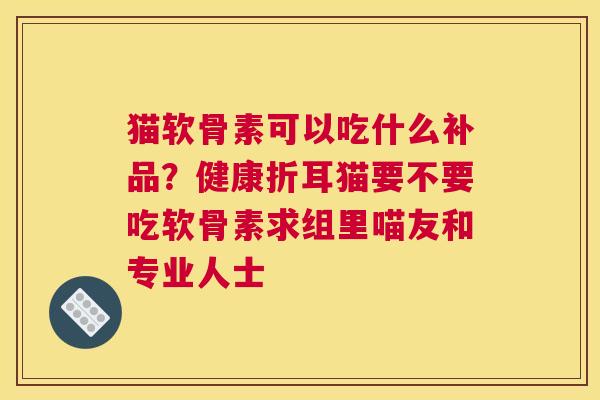 猫软骨素可以吃什么补品？健康折耳猫要不要吃软骨素求组里喵友和专业人士