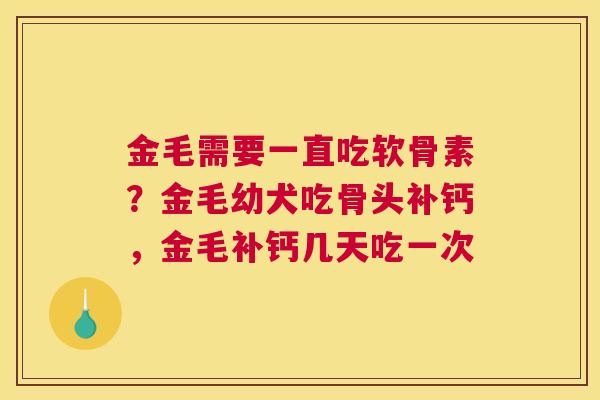 金毛需要一直吃软骨素？金毛幼犬吃骨头补钙，金毛补钙几天吃一次