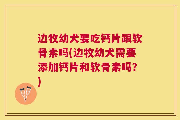 边牧幼犬要吃钙片跟软骨素吗(边牧幼犬需要添加钙片和软骨素吗？)
