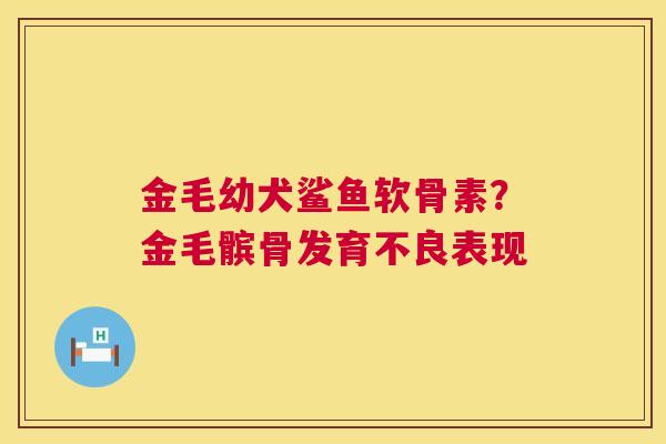 金毛幼犬鲨鱼软骨素？金毛髌骨发育不良表现