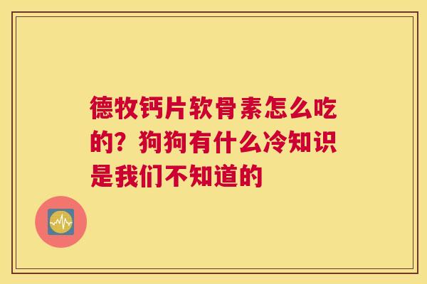 德牧钙片软骨素怎么吃的？狗狗有什么冷知识是我们不知道的