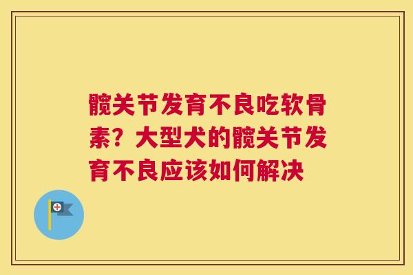 髋关节发育不良吃软骨素？大型犬的髋关节发育不良应该如何解决