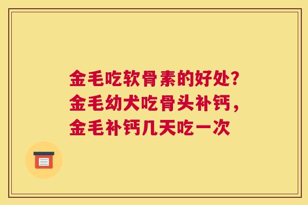 金毛吃软骨素的好处？金毛幼犬吃骨头补钙，金毛补钙几天吃一次
