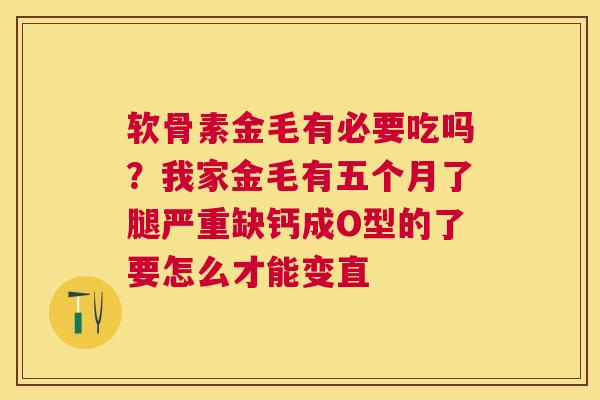 软骨素金毛有必要吃吗？我家金毛有五个月了腿严重缺钙成O型的了要怎么才能变直