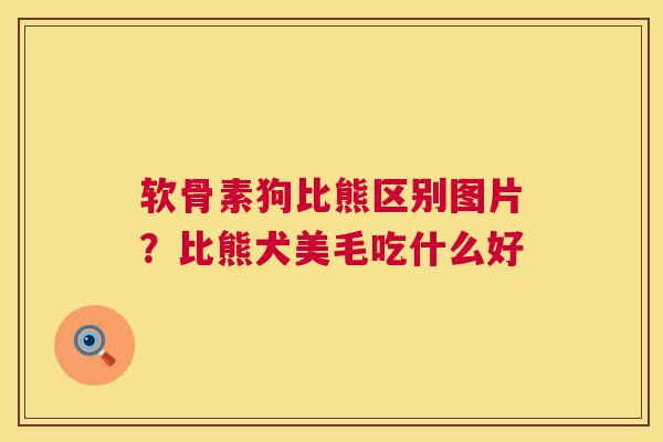 软骨素狗比熊区别图片？比熊犬美毛吃什么好
