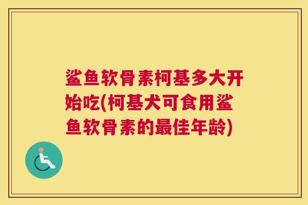 鲨鱼软骨素柯基多大开始吃(柯基犬可食用鲨鱼软骨素的最佳年龄)
