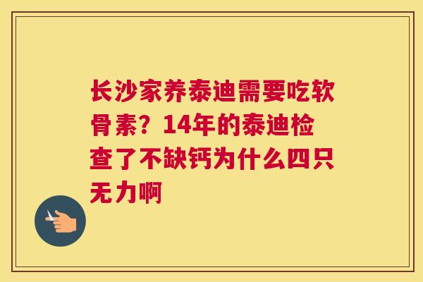 长沙家养泰迪需要吃软骨素？14年的泰迪检查了不缺钙为什么四只无力啊