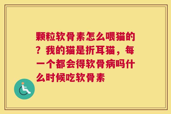 颗粒软骨素怎么喂猫的？我的猫是折耳猫，每一个都会得软骨病吗什么时候吃软骨素