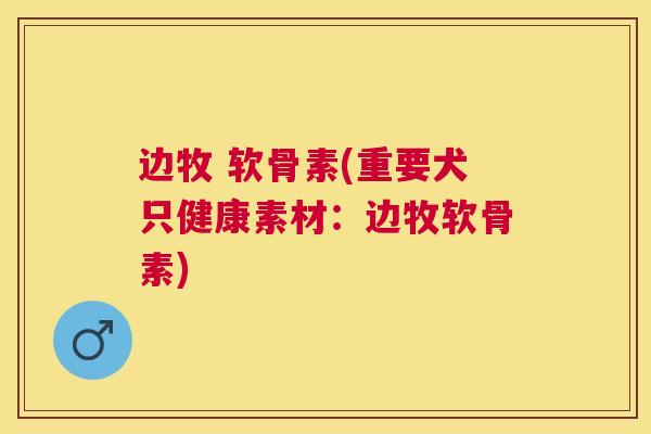 边牧 软骨素(重要犬只健康素材：边牧软骨素)