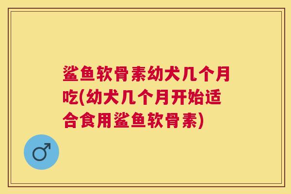 鲨鱼软骨素幼犬几个月吃(幼犬几个月开始适合食用鲨鱼软骨素)