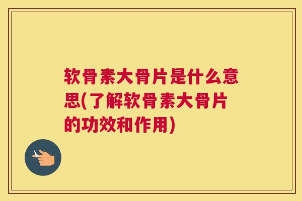 软骨素大骨片是什么意思(了解软骨素大骨片的功效和作用)