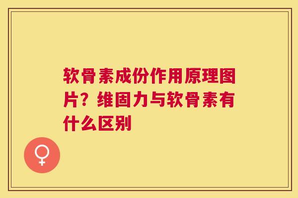 软骨素成份作用原理图片？维固力与软骨素有什么区别