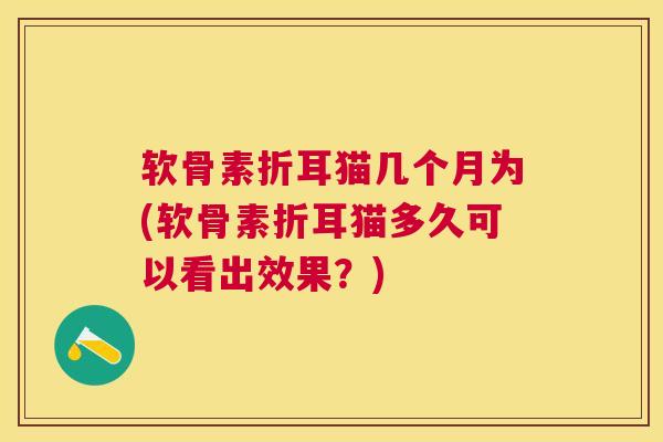 软骨素折耳猫几个月为(软骨素折耳猫多久可以看出效果？)