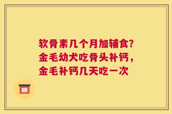 软骨素几个月加辅食？金毛幼犬吃骨头补钙，金毛补钙几天吃一次