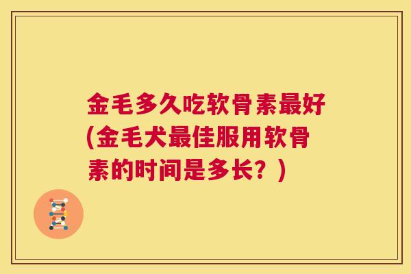金毛多久吃软骨素最好(金毛犬最佳服用软骨素的时间是多长？)