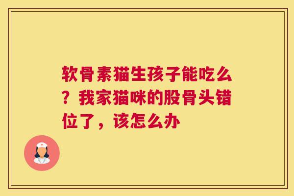 软骨素猫生孩子能吃么？我家猫咪的股骨头错位了，该怎么办