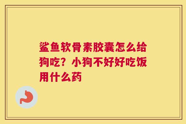 鲨鱼软骨素胶囊怎么给狗吃？小狗不好好吃饭用什么药