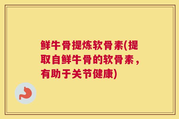 鲜牛骨提炼软骨素(提取自鲜牛骨的软骨素，有助于关节健康)