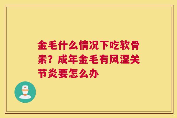 金毛什么情况下吃软骨素？成年金毛有风湿关节炎要怎么办