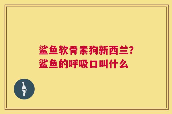 鲨鱼软骨素狗新西兰？鲨鱼的呼吸口叫什么